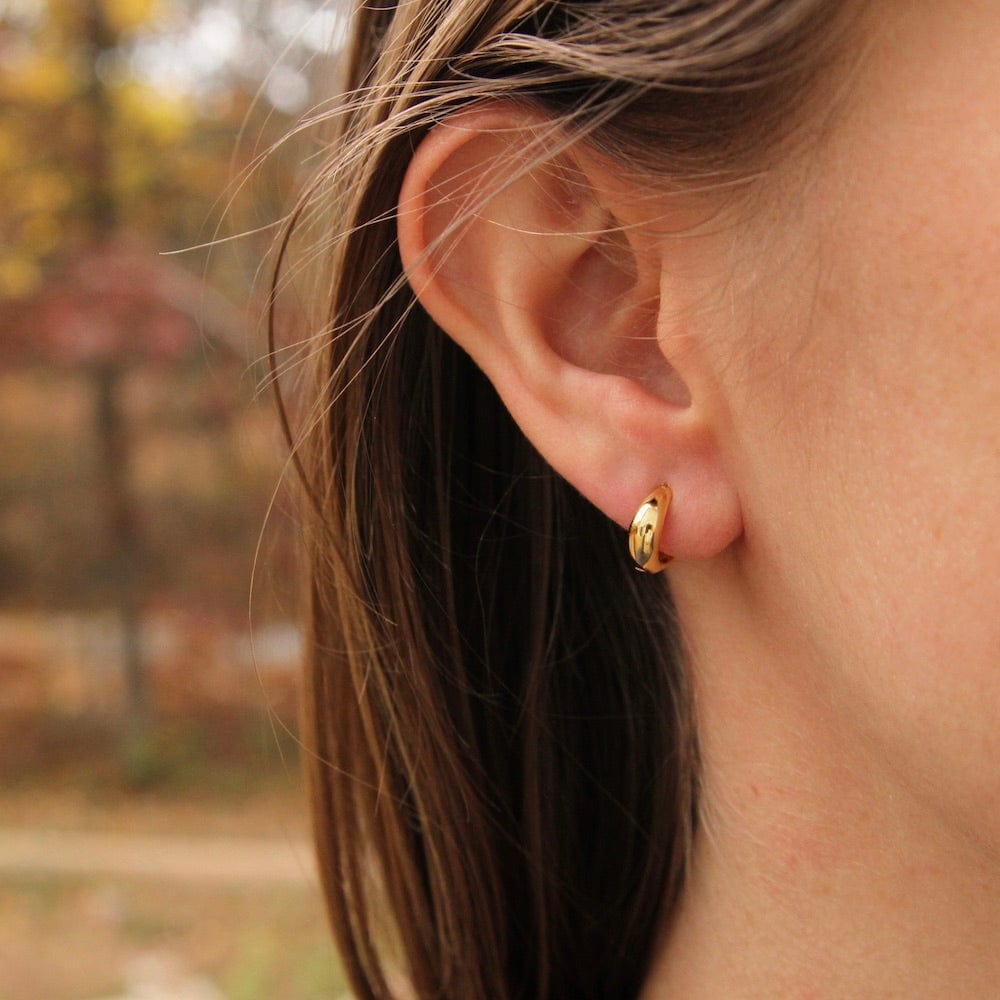 
                      
                        EAR-GPL Luxe Huggie Hoop Earrings
                      
                    