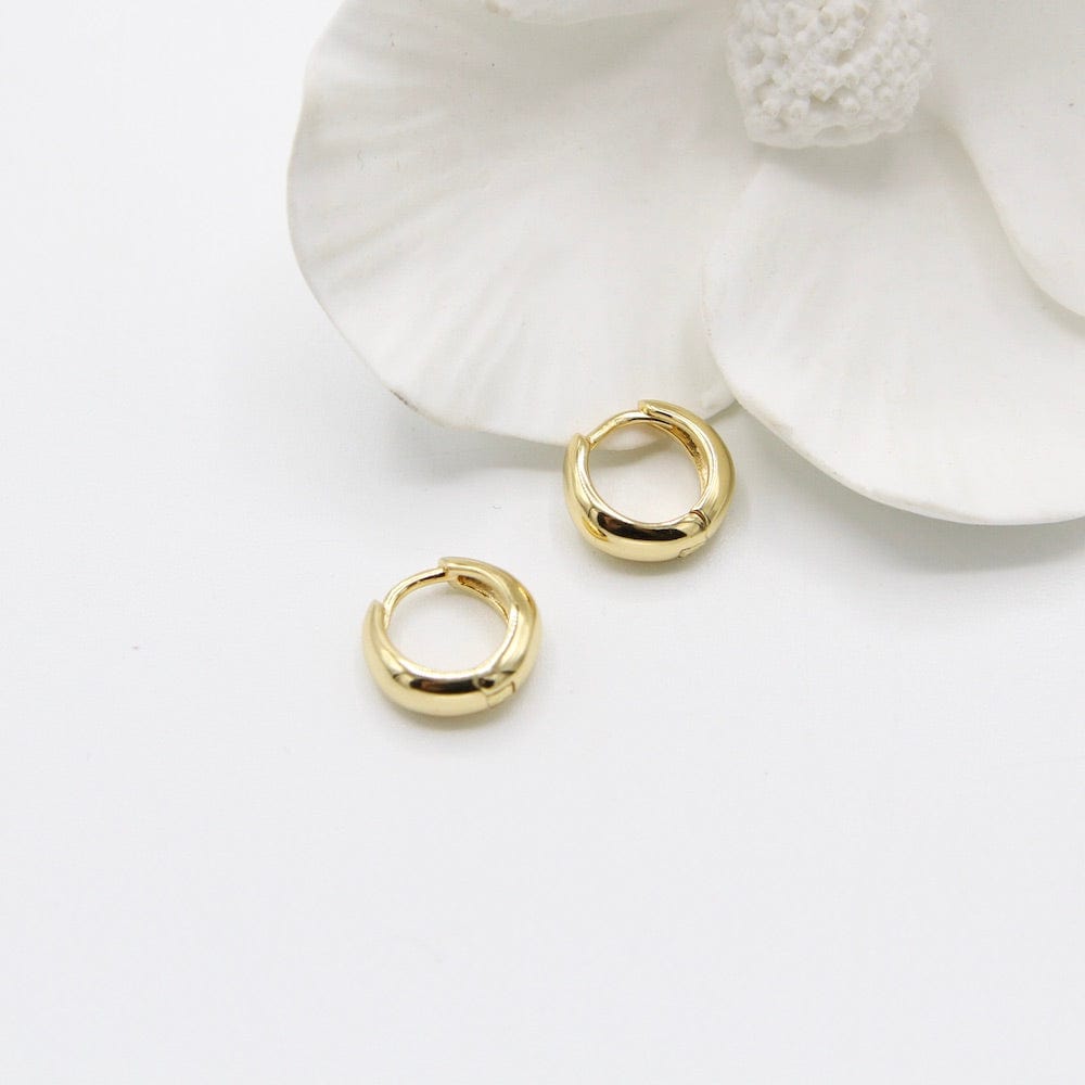 
                      
                        EAR-GPL Luxe Huggie Hoop Earrings
                      
                    