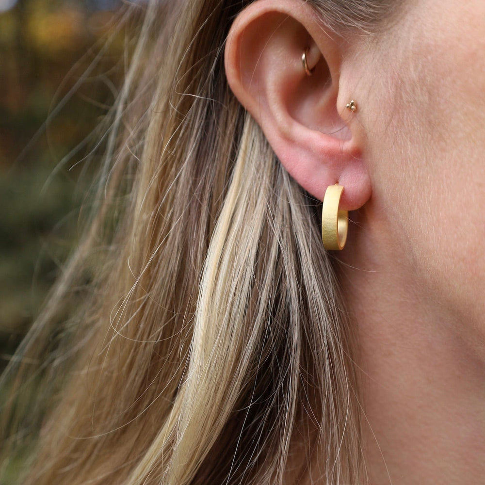 
                      
                        EAR-GPL Matte Gold Round Hoops with Posts
                      
                    