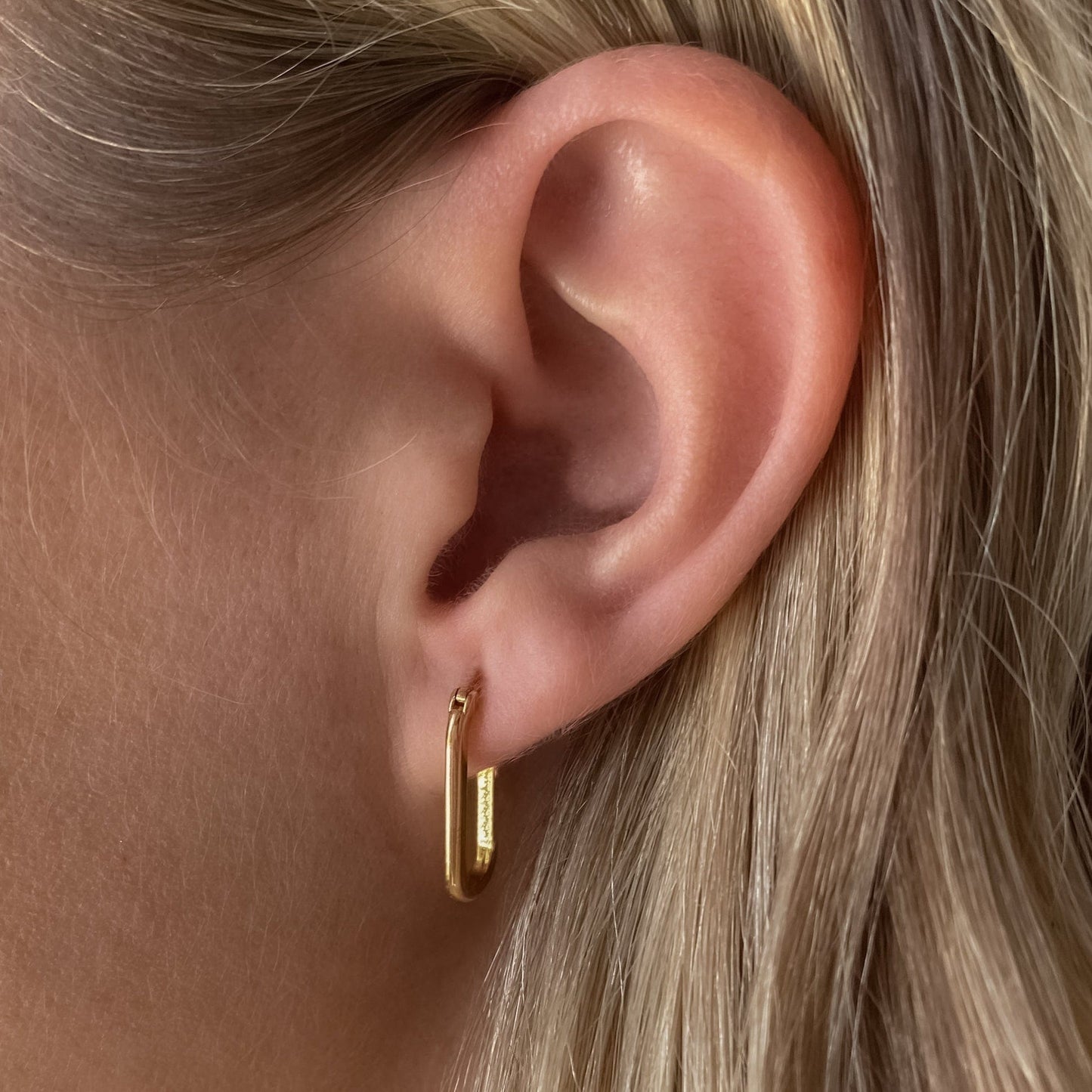EAR-GPL Nadine Hoop Earrings