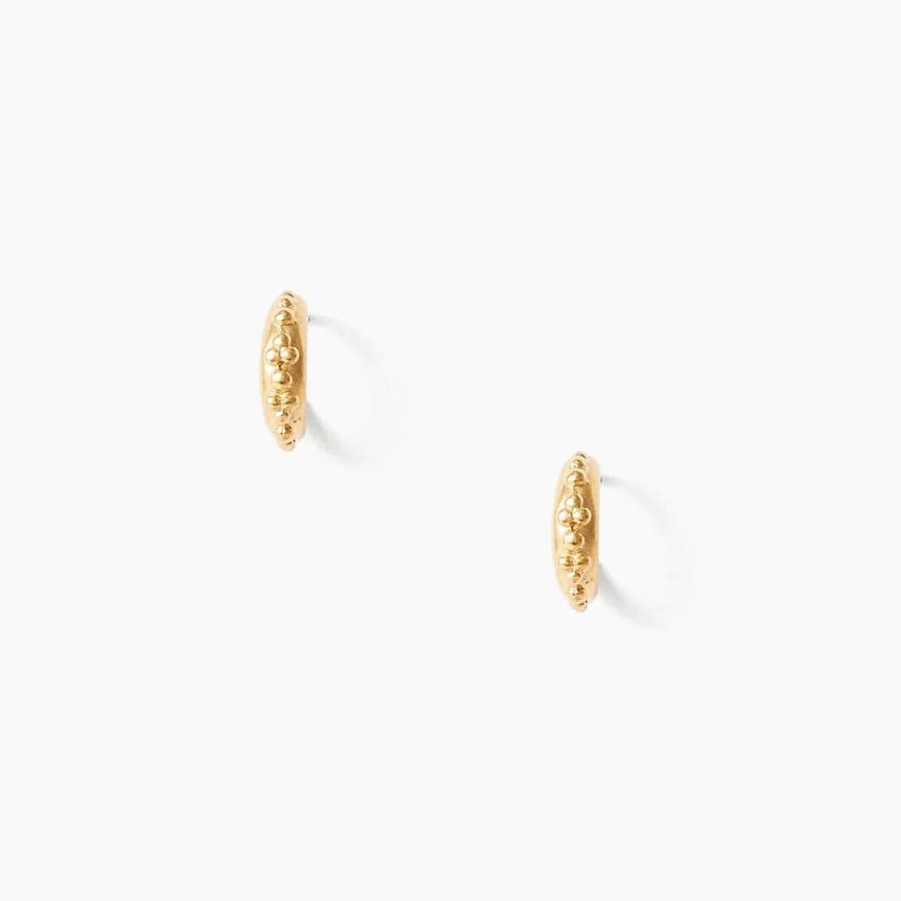 
                      
                        EAR-GPL Petite Gold Sappho Hoops
                      
                    