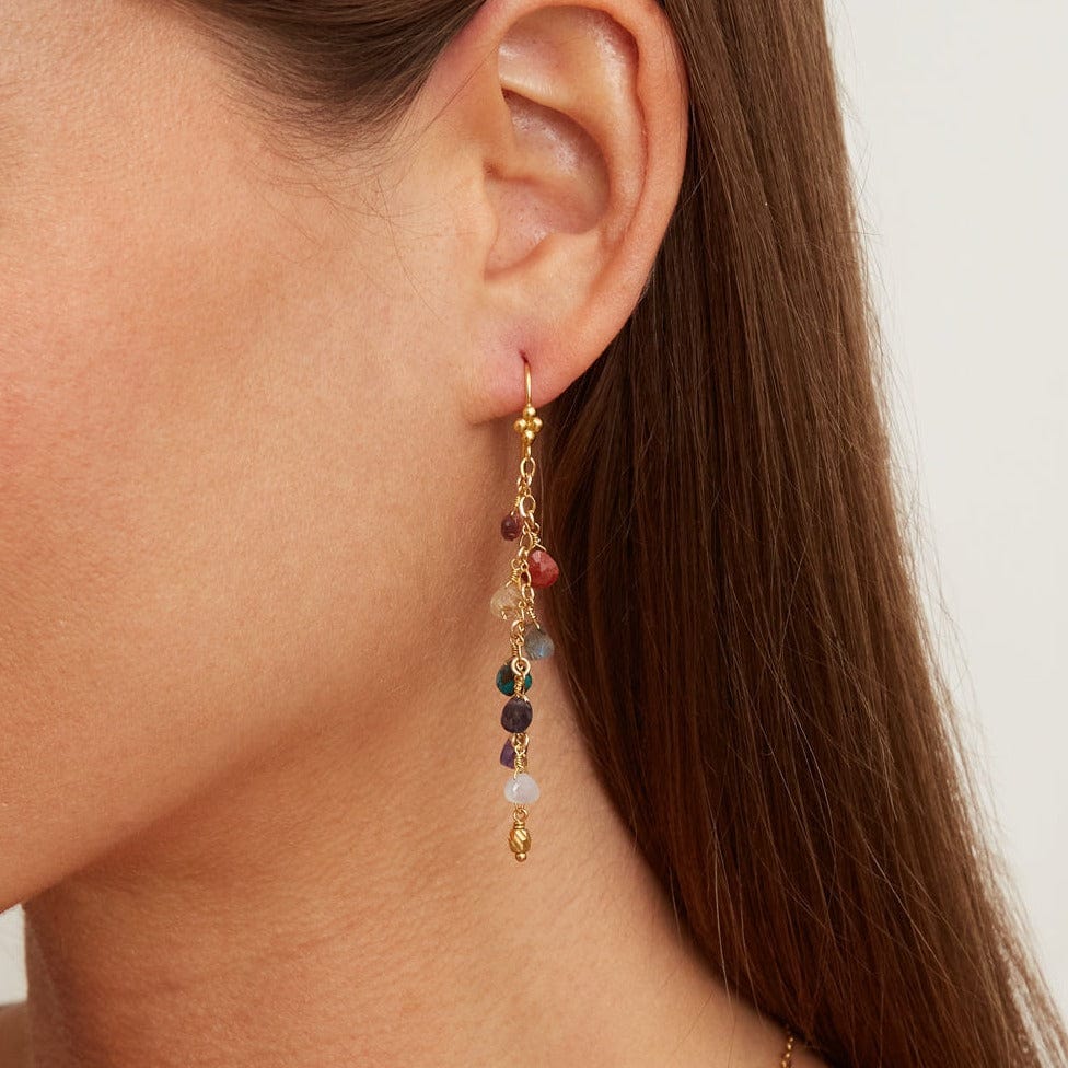 
                      
                        EAR-GPL Rainbow Mix Cascade Earrings
                      
                    