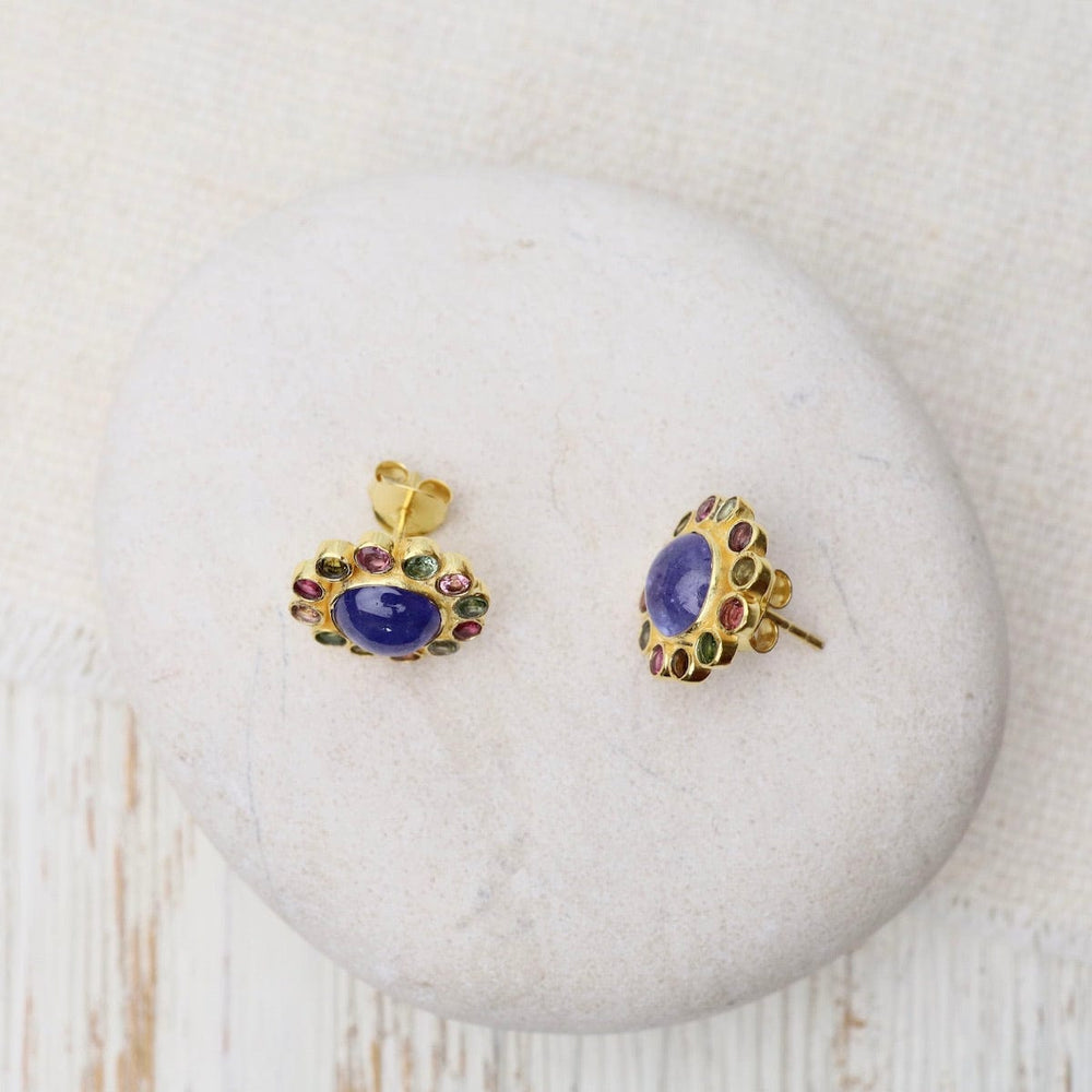 
                  
                    EAR-GPL Round Tanzanite & Tourmaline Stud Earrings
                  
                