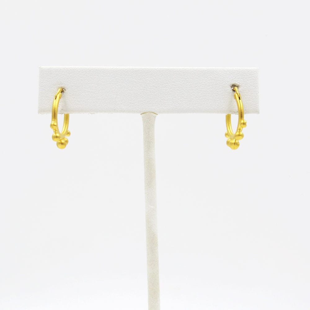 
                      
                        EAR-GPL Small Hoop with Graduated Ball Granulation - Gold Plated
                      
                    