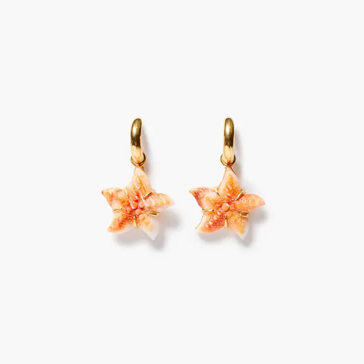 EAR-GPL Starfish Hoop Earrings Orange