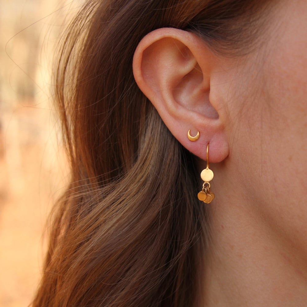 
                      
                        EAR-GPL Tiny Disc Drops - Gold Plate.
                      
                    