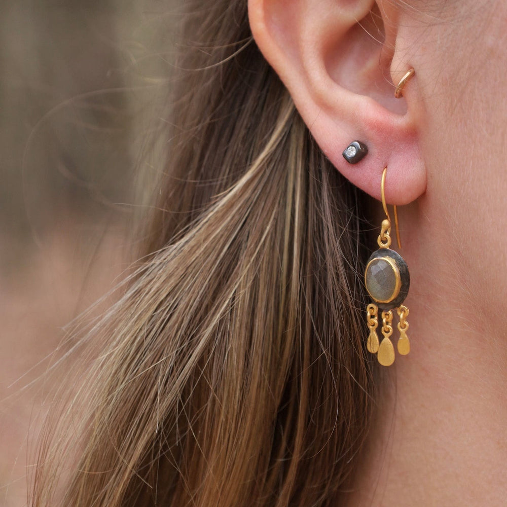 
                  
                    EAR-GPL Two Tone Labradorite Tier Earrings
                  
                