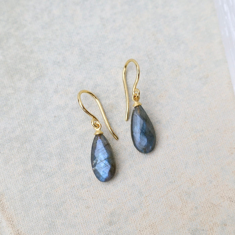 
                  
                    EAR-GPL Wire Faceted Labradorite Earrings
                  
                