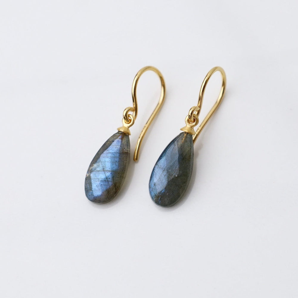 
                  
                    EAR-GPL Wire Faceted Labradorite Earrings
                  
                