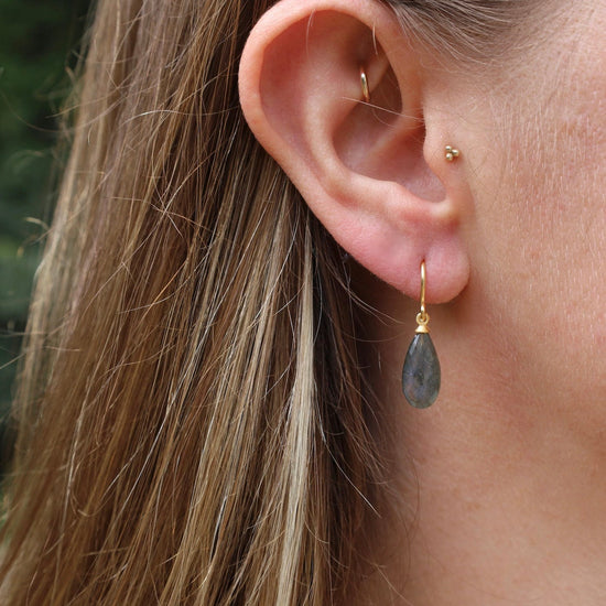EAR-GPL Wire Faceted Labradorite Earrings