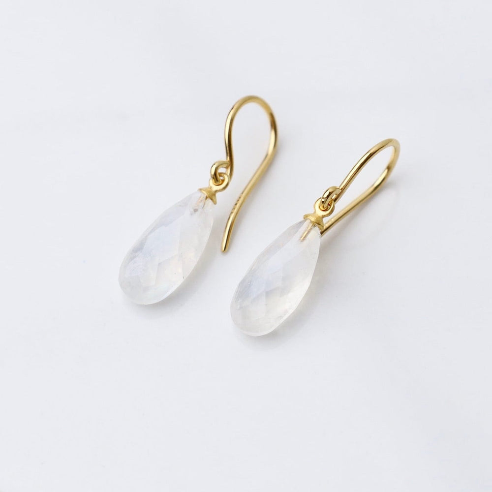 
                      
                        EAR-GPL Wire Faceted Rainbow Moonstone Earrings
                      
                    