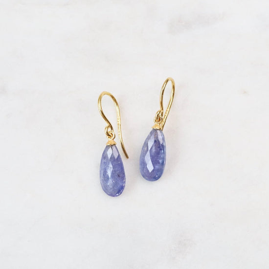 EAR-GPL Wire Faceted Tanzanite