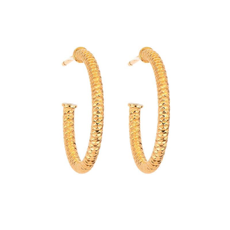 
                  
                    EAR-GPL Yellow Gold Plated Sparkle Hoops - 3 Size options
                  
                