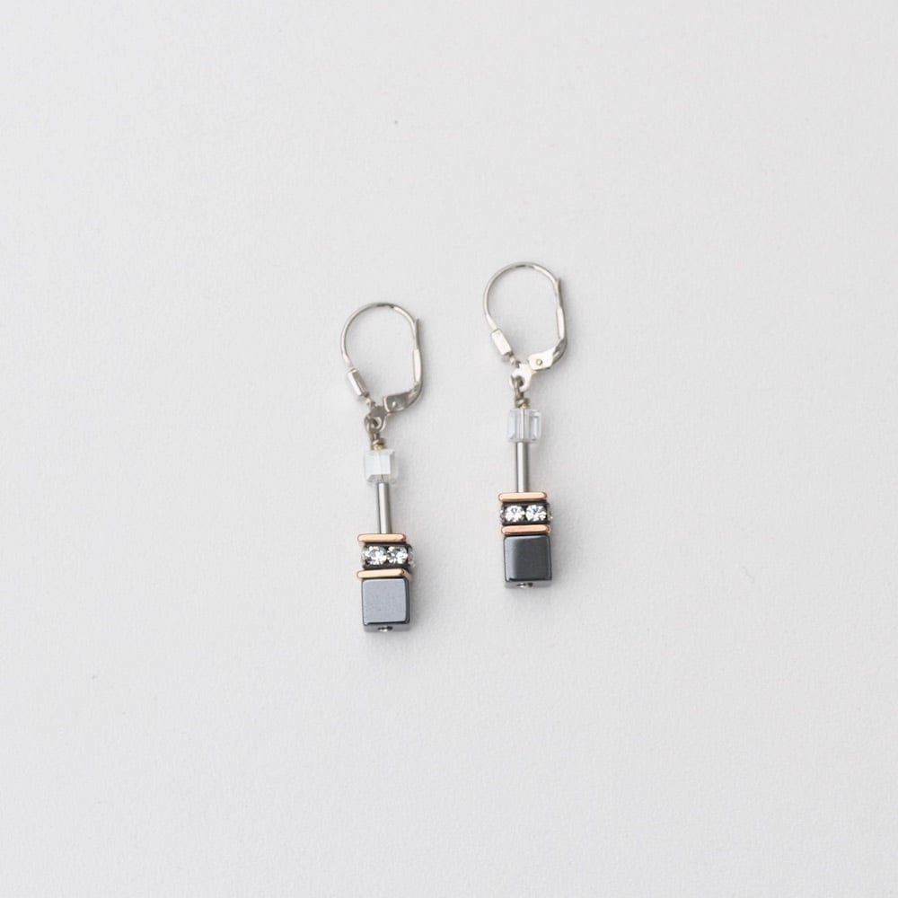 
                      
                        EAR HEMATITE GEO CUBE EARRING
                      
                    