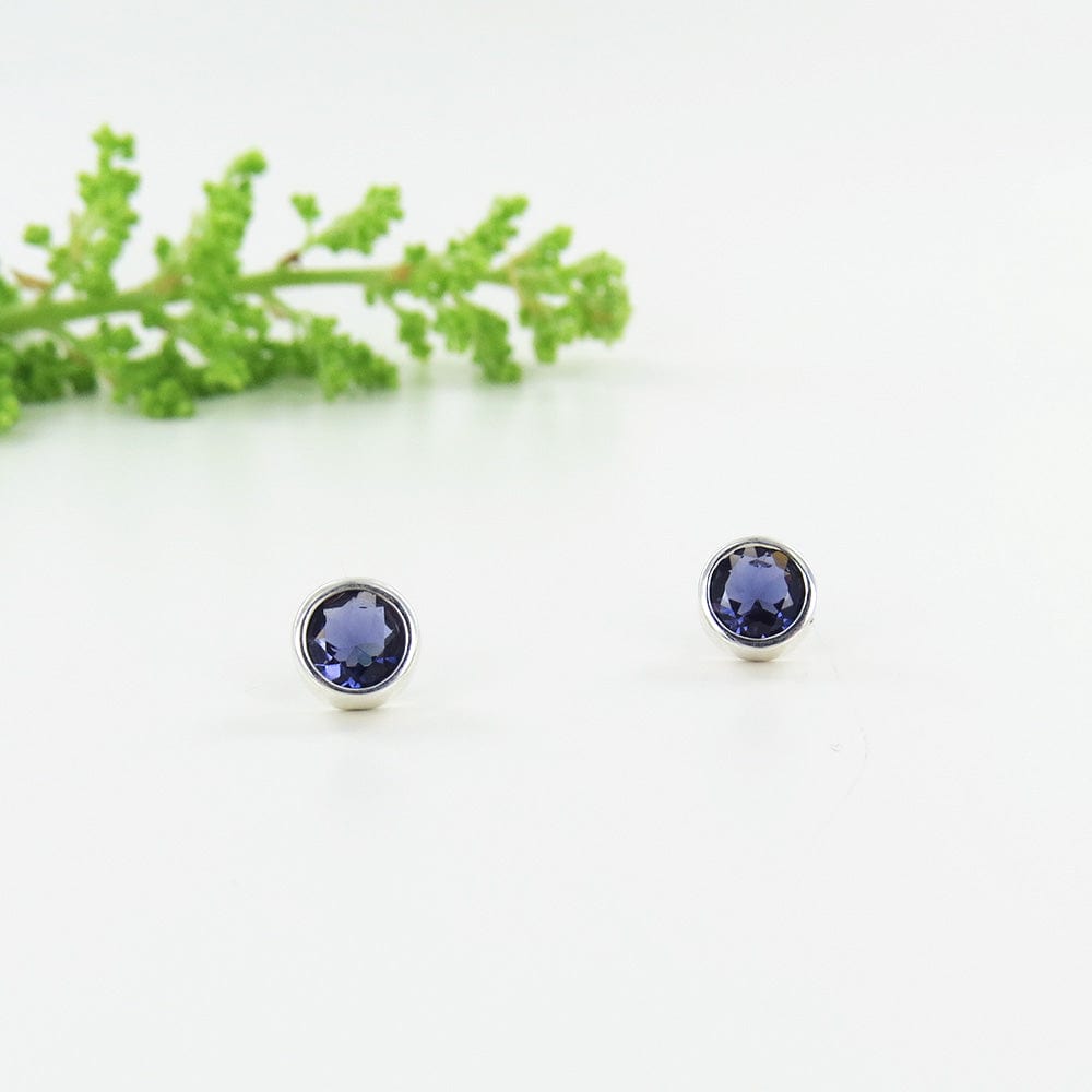 
                      
                        EAR Iolite Dot Post Earring
                      
                    