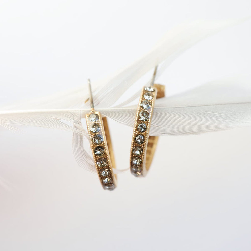 
                      
                        EAR-JM Gold Plate Clear Crystal Hoop Earrings
                      
                    