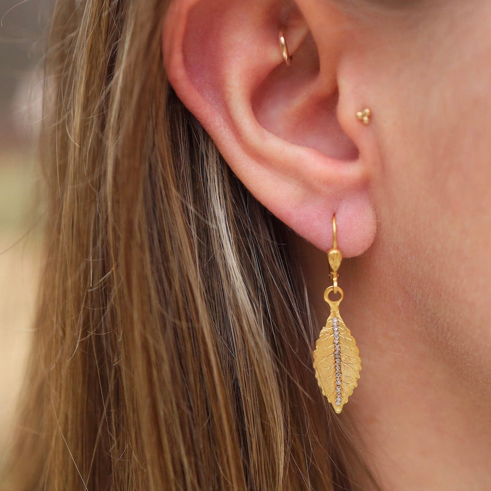 
                      
                        EAR-JM Leaf Drop Earring- Gold Plate
                      
                    