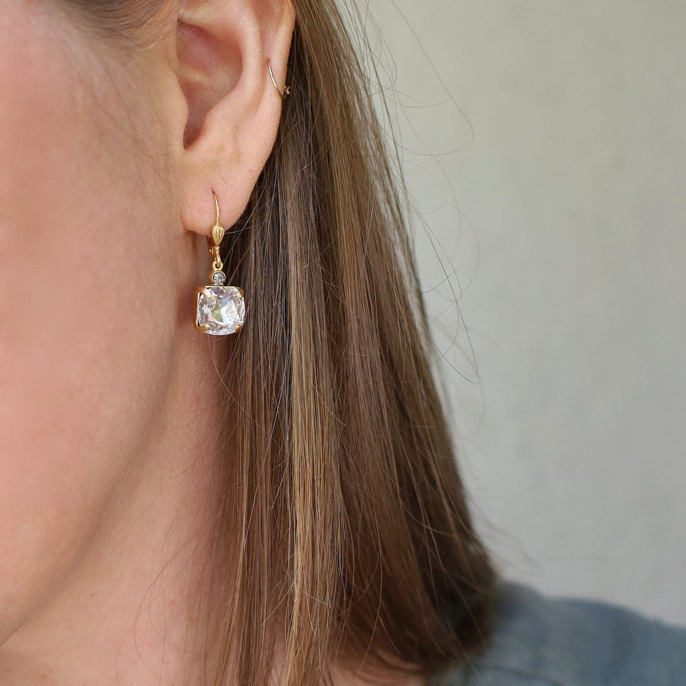 
                      
                        EAR-JM Medium Crystal Drop Earring
                      
                    