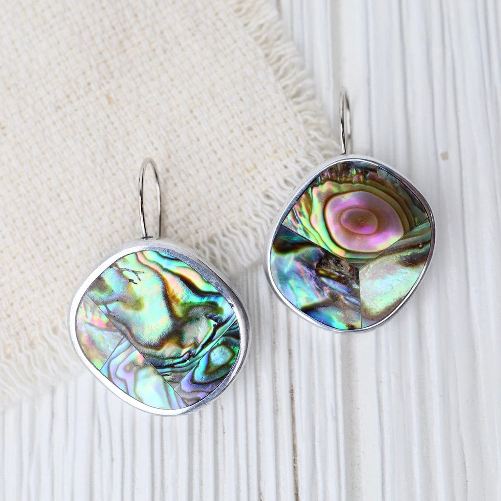 
                  
                    EAR-JM Paua Kidney Resin Earrings
                  
                