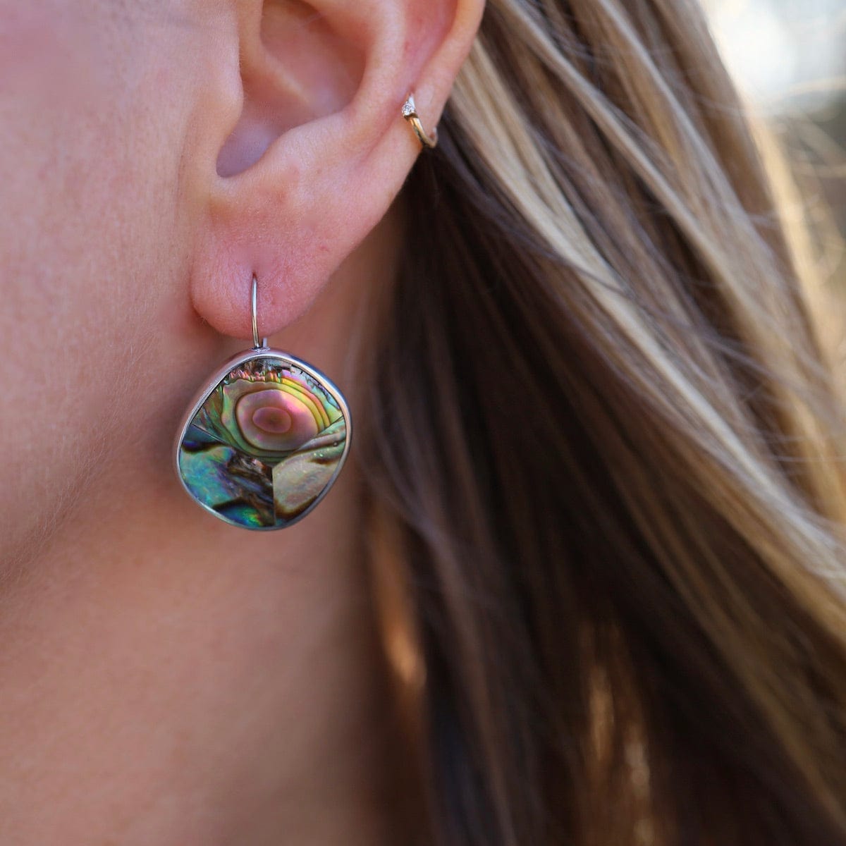 EAR-JM Paua Kidney Resin Earrings