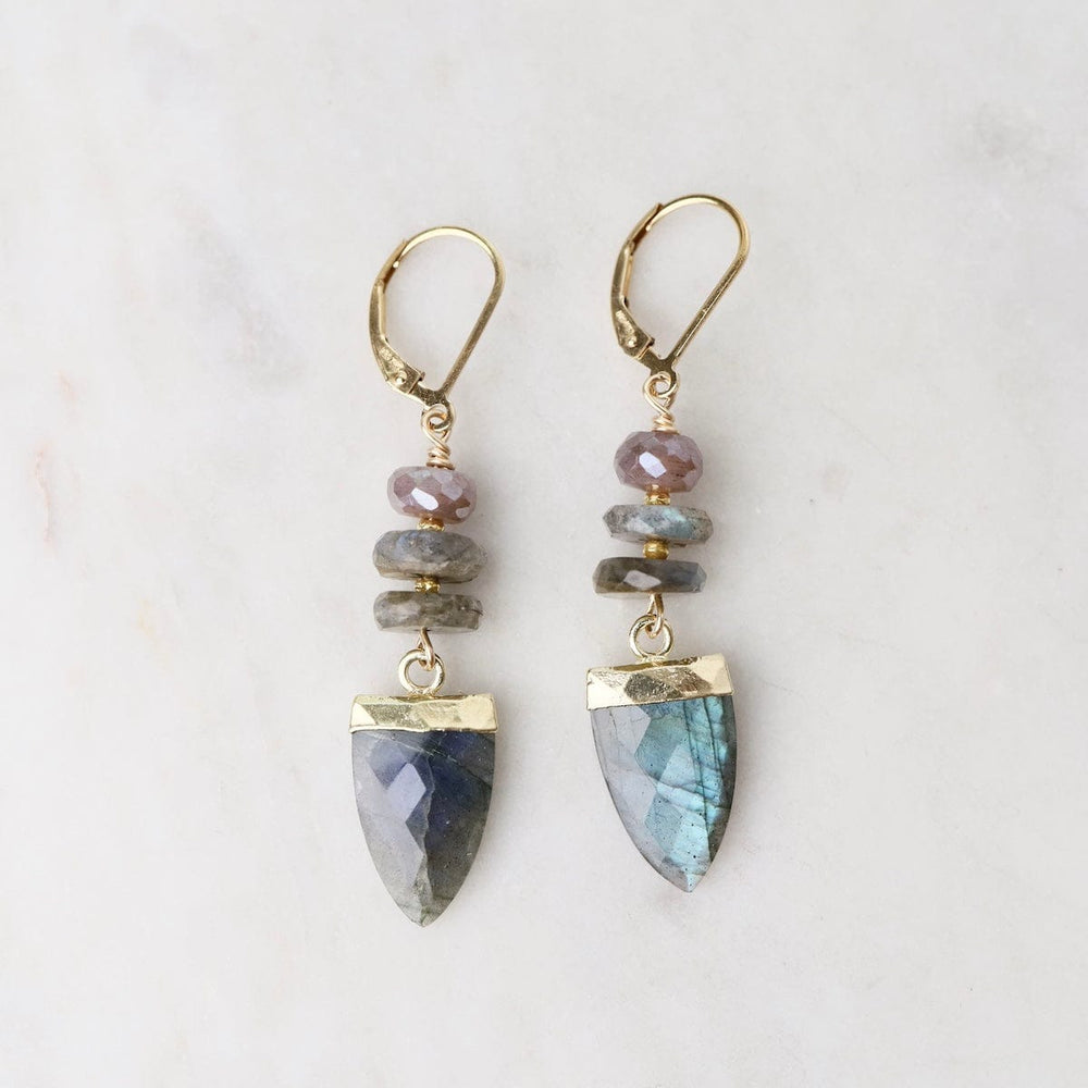 EAR Labradorite Shield Earrings