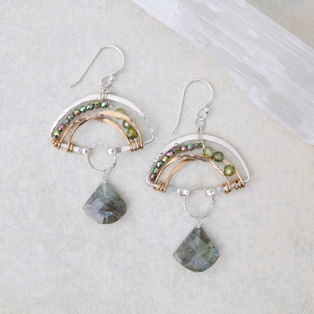 
                      
                        EAR Mushroom Earrings with Labradorite
                      
                    