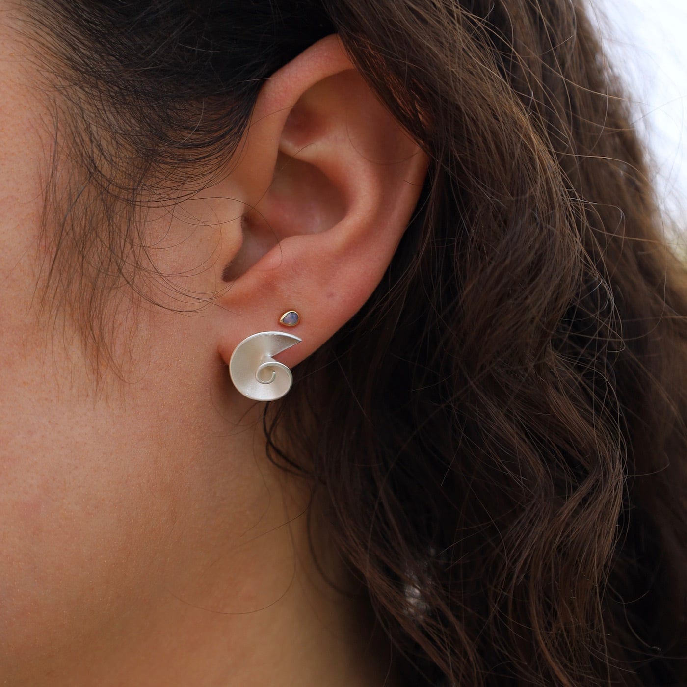 EAR Nautilus Stud Earrings