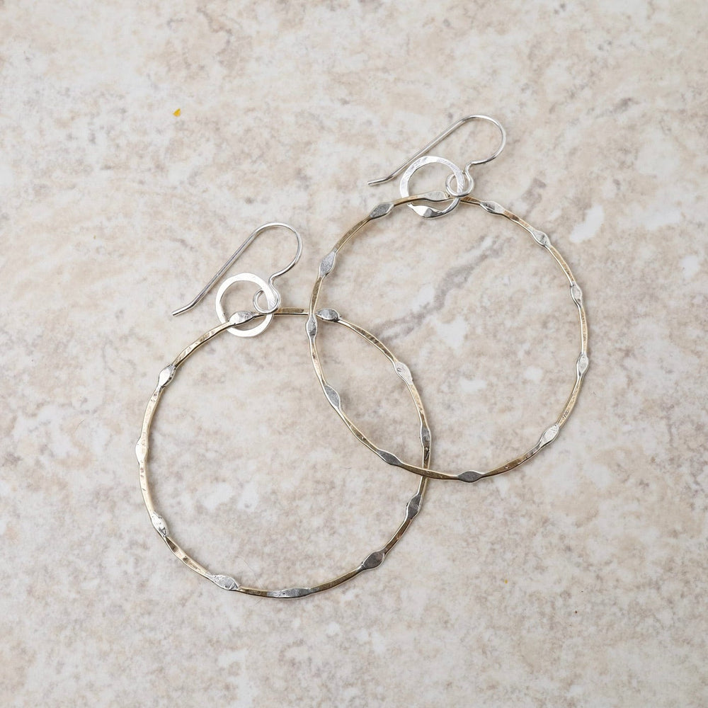 
                      
                        EAR Organicly Shaped Brass & Sterling Silver Circles Earrings
                      
                    