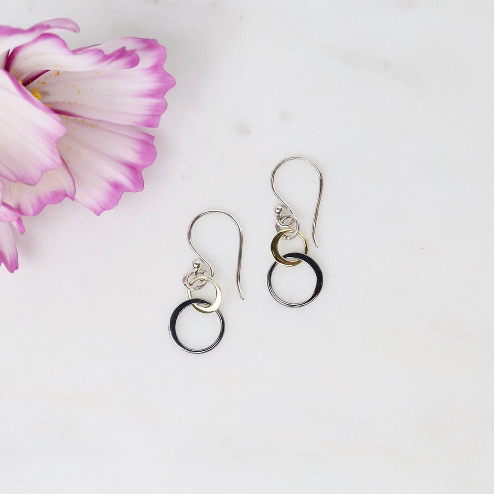 EAR Petite Mixed Metal Graduated Circle Earrings