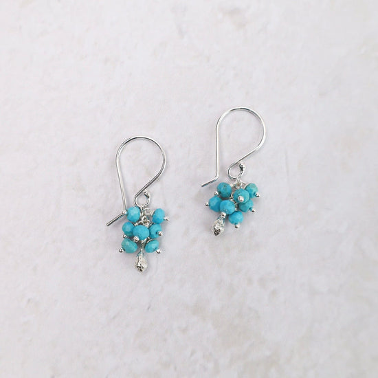 EAR Seed Pod Cluster Earring - Turquoise