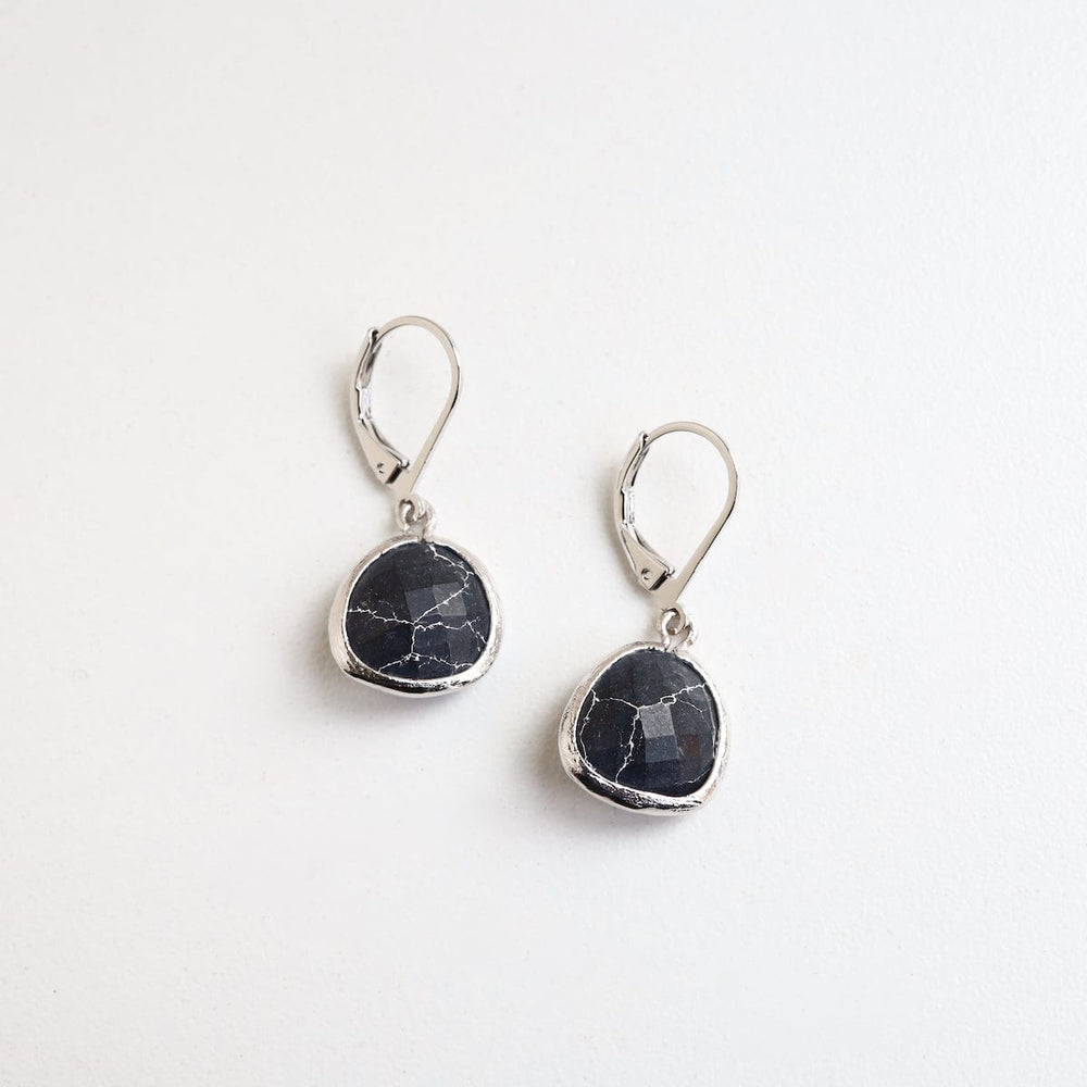 
                      
                        EAR Silver Black Howlite Lever Back Earring
                      
                    