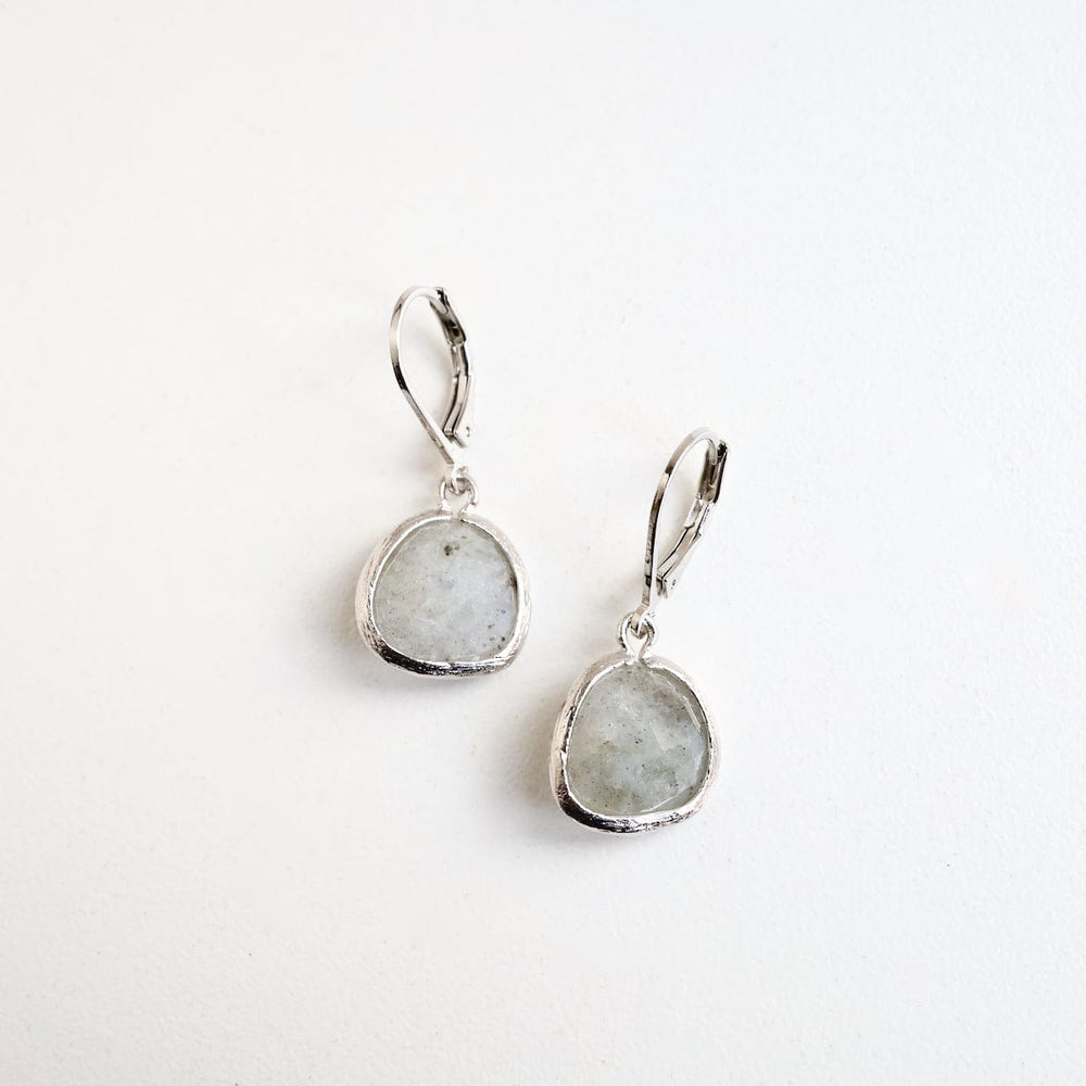 EAR Silver Labradorite Lever Back Earring