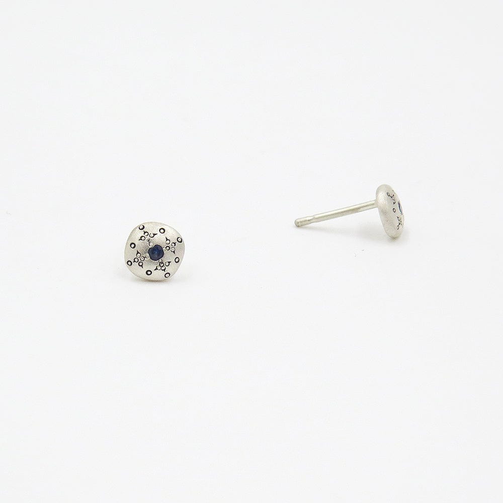 
                      
                        EAR Silver Lights Stud Earrings in Sapphire
                      
                    