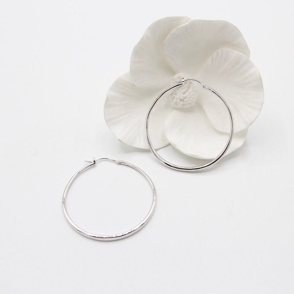 
                      
                        EAR Silver Luxe Hoop Earrings
                      
                    