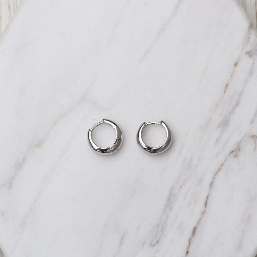 
                      
                        EAR Silver Luxe Huggie Hoop Earrings
                      
                    