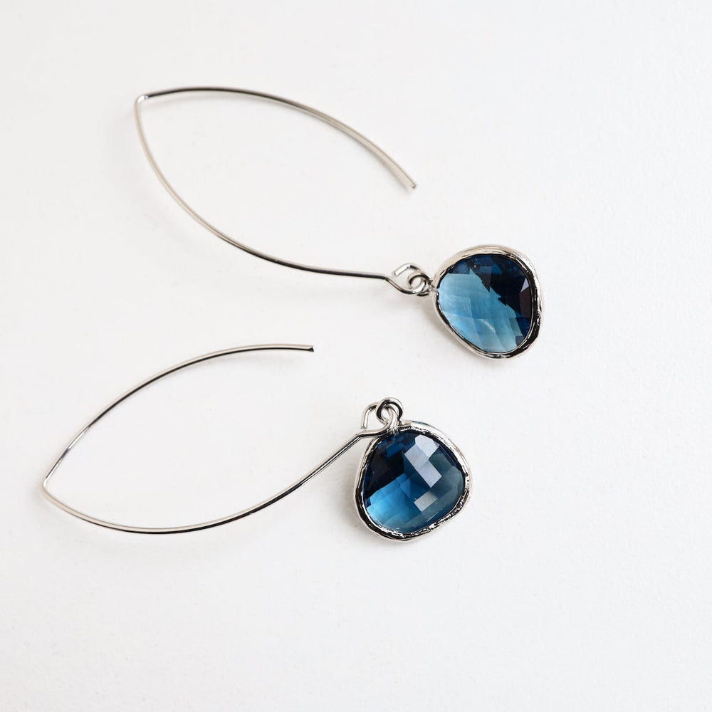 
                  
                    EAR Silver Montana Blue Crystal Earring
                  
                