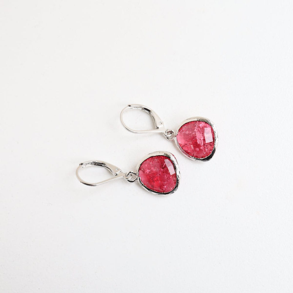 
                  
                    EAR Silver Red Rock Crystal Lever Back Earring
                  
                