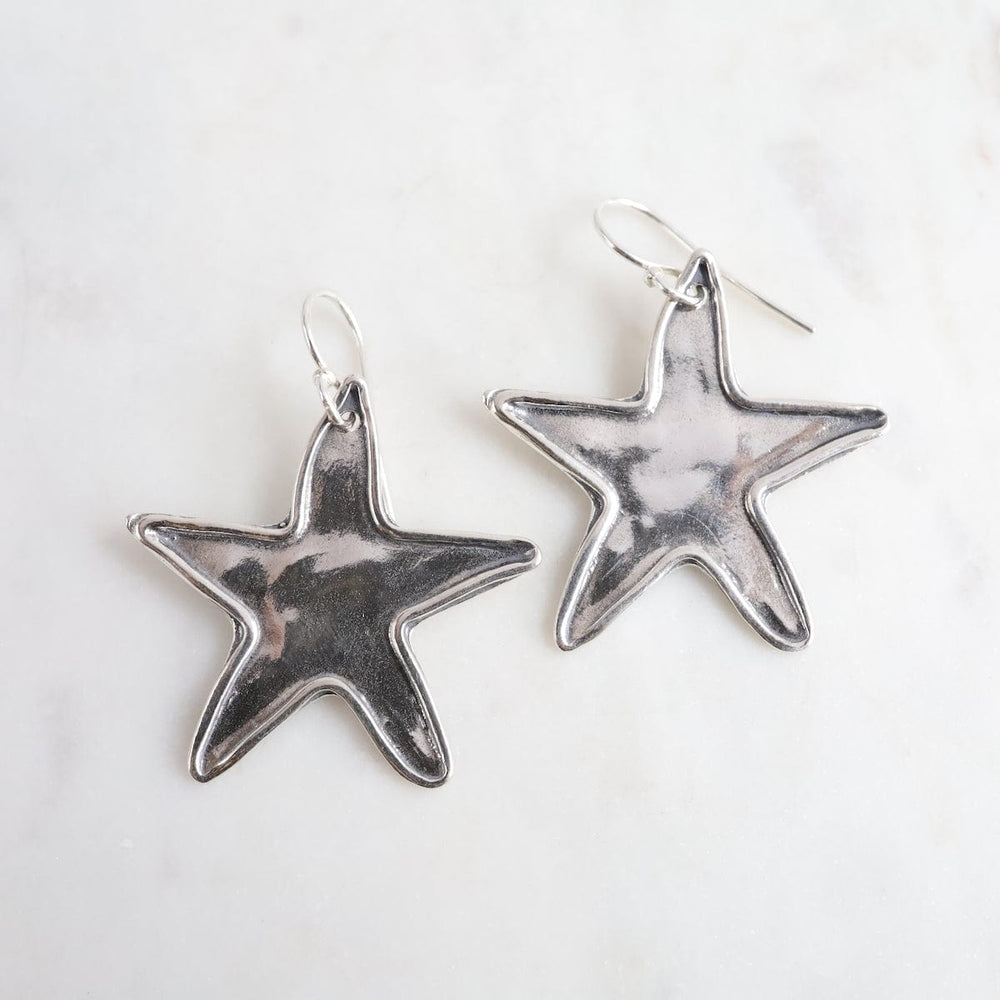 
                      
                        EAR Silver Star Earrings
                      
                    