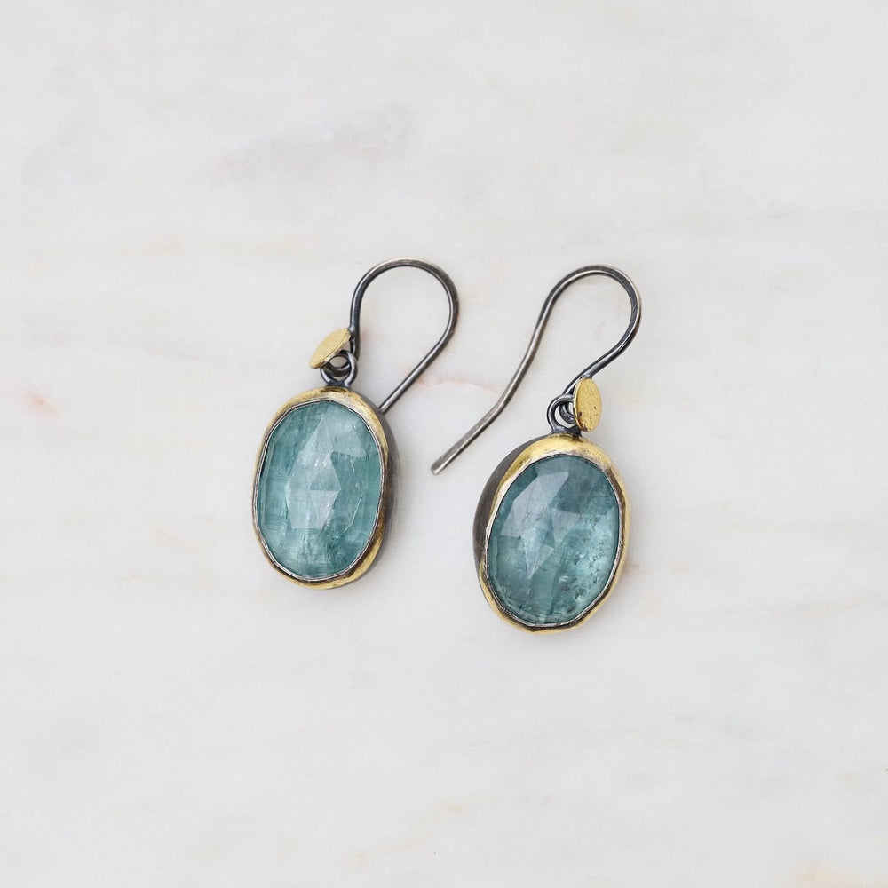 
                      
                        EAR Sky Blue Kyanite Crescent Rim Dot Earrings
                      
                    