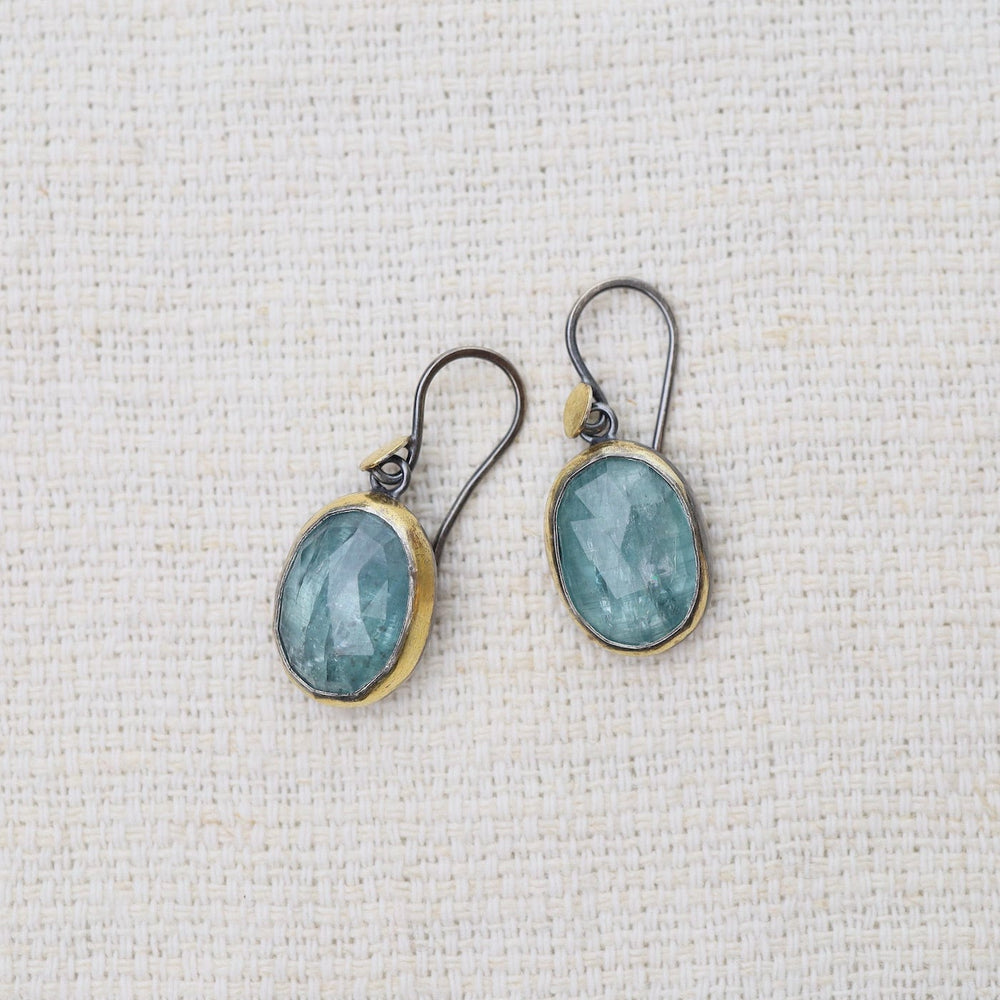 
                      
                        EAR Sky Blue Kyanite Crescent Rim Dot Earrings
                      
                    