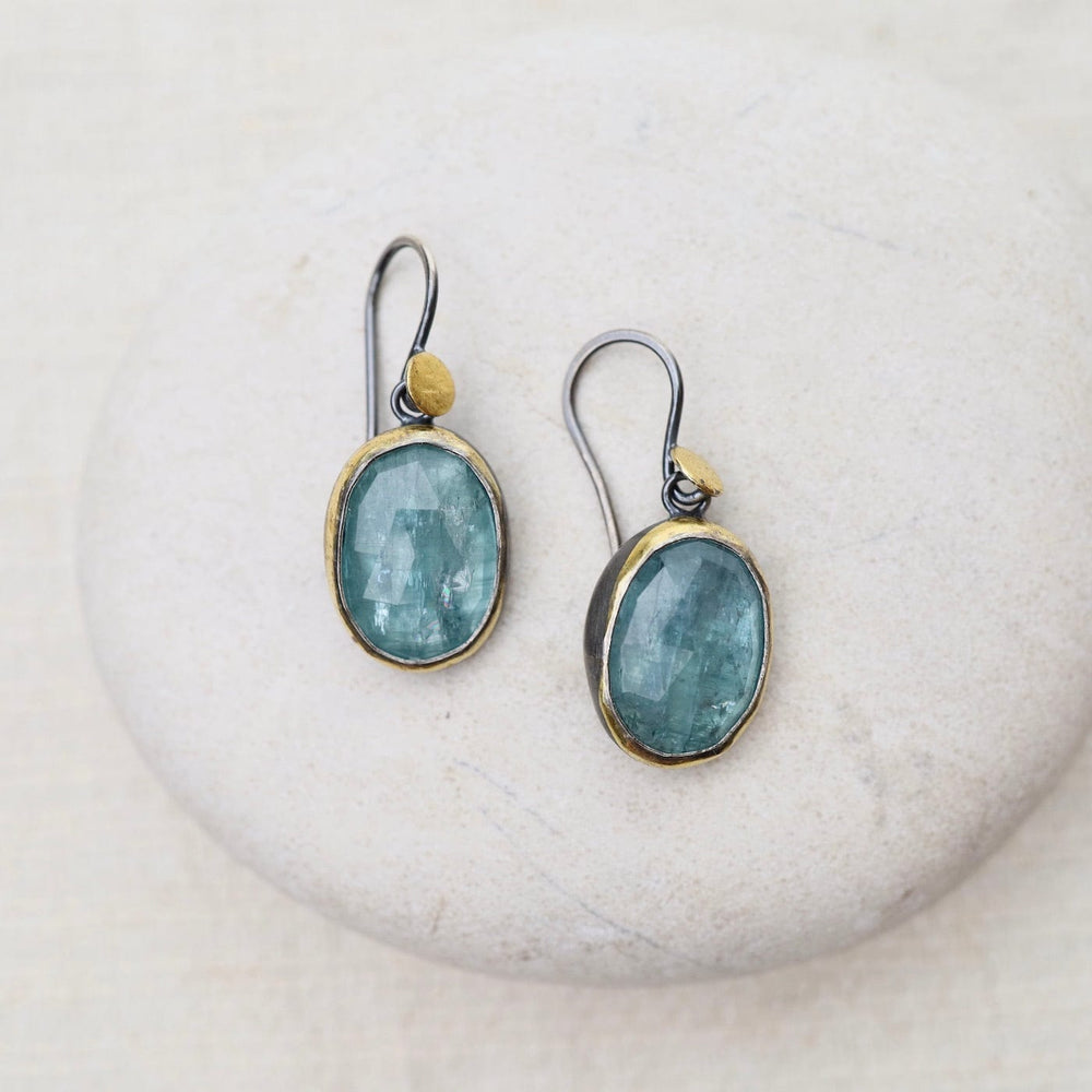 
                      
                        EAR Sky Blue Kyanite Crescent Rim Dot Earrings
                      
                    