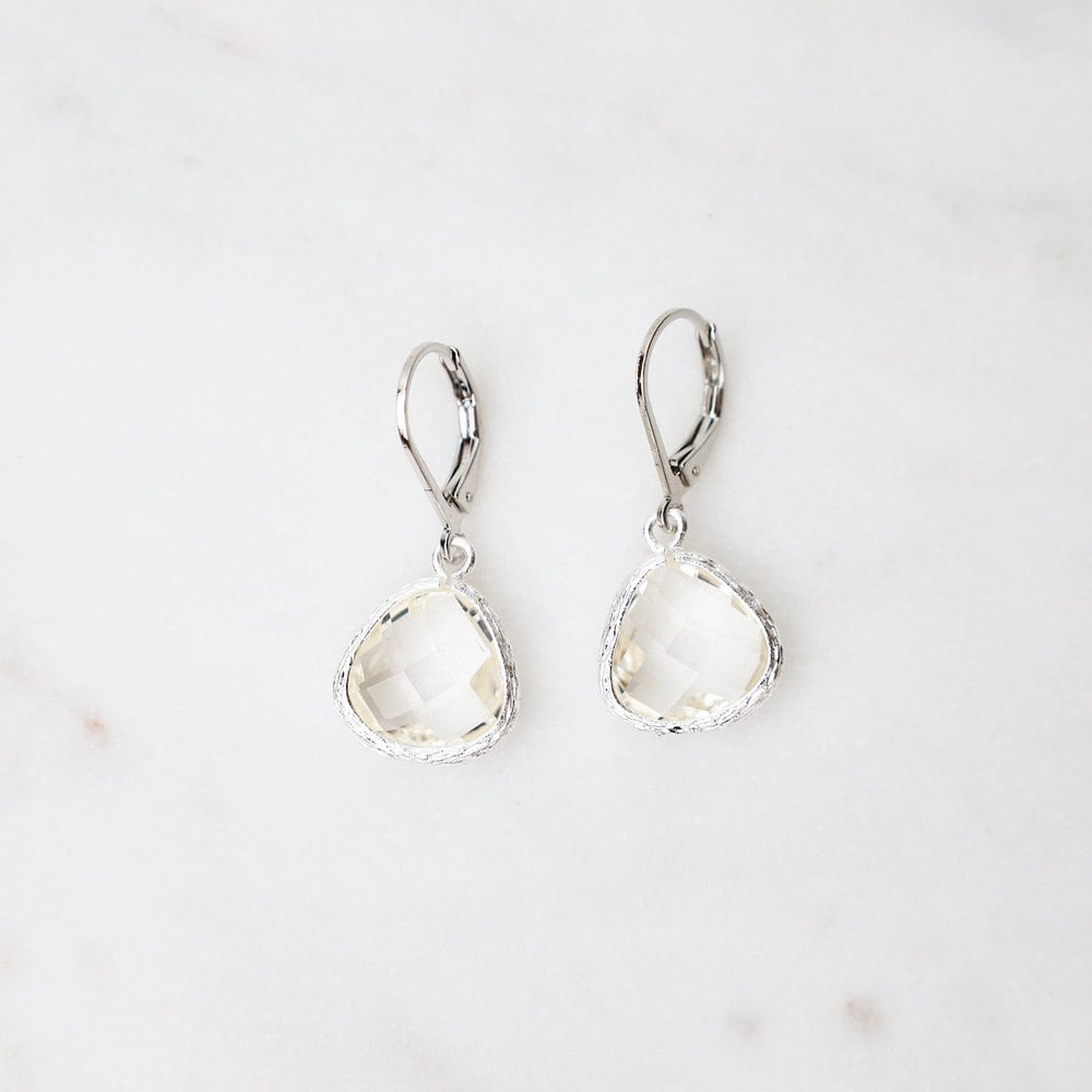 
                      
                        EAR Sterling Silver Clear Crystal Lever Back Earrings
                      
                    