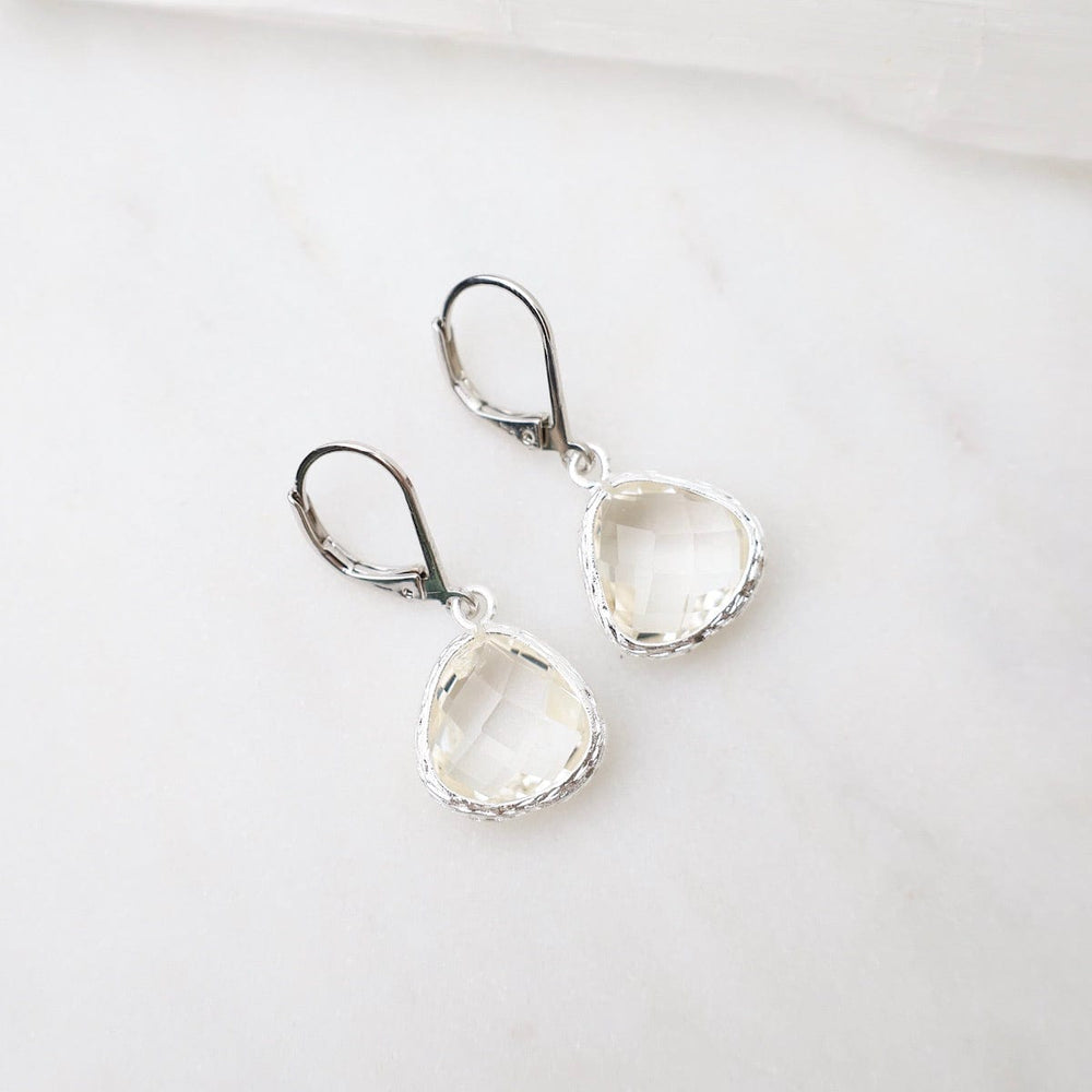 
                      
                        EAR Sterling Silver Clear Crystal Lever Back Earrings
                      
                    