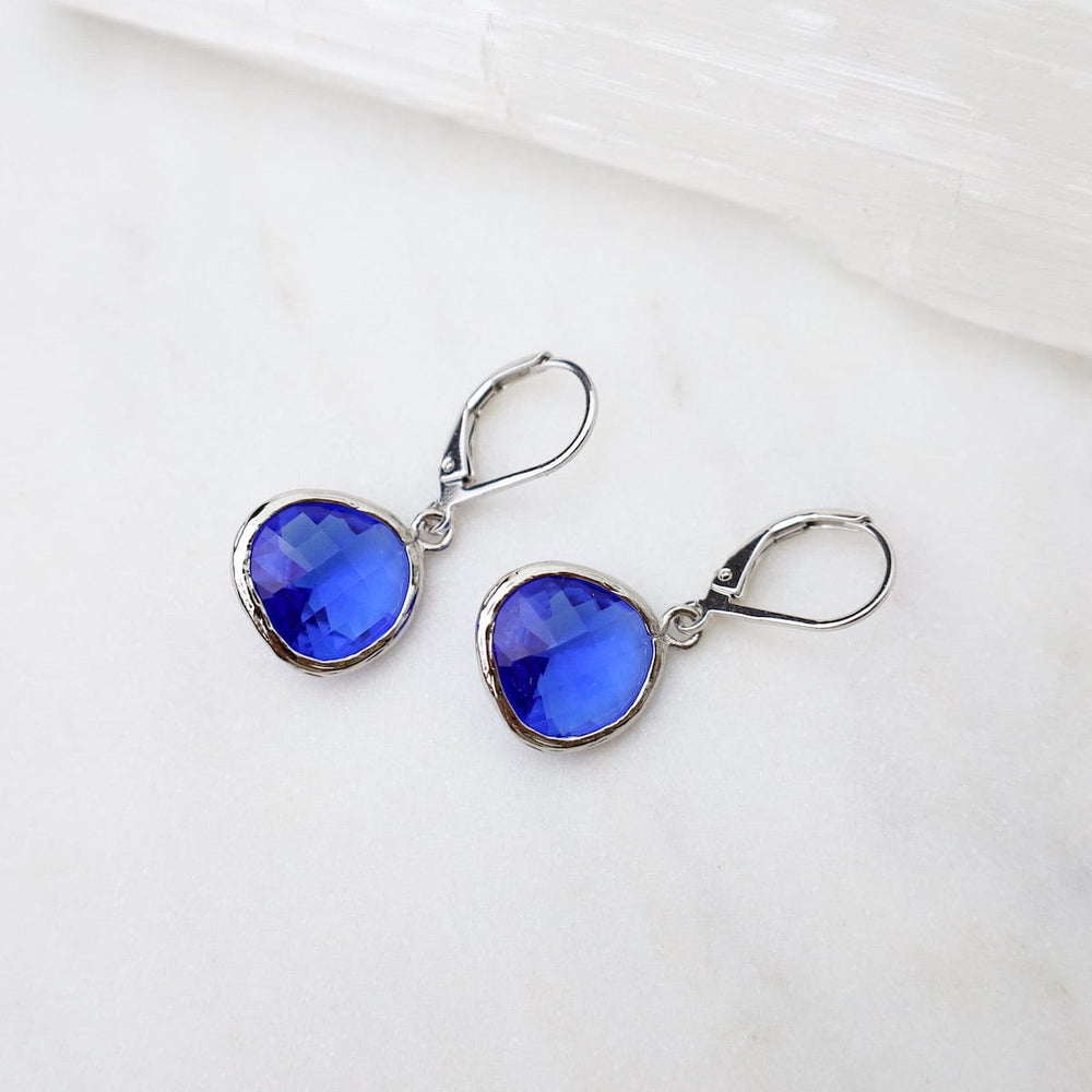 
                  
                    EAR Sterling Silver Crystal Lever Back Earrings - Cobalt
                  
                