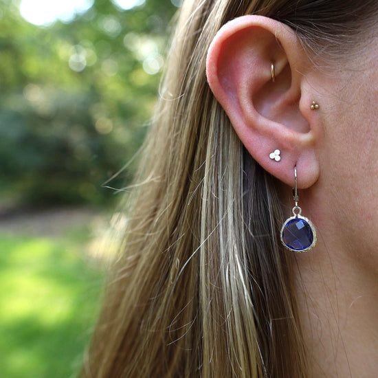 EAR Sterling Silver Crystal Lever Back Earrings - Indigo