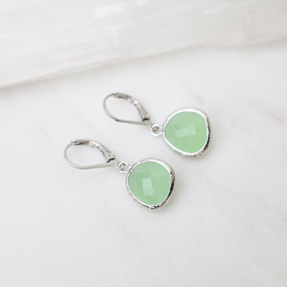 
                      
                        EAR Sterling Silver Fluorite Crystal Lever Back Earrings
                      
                    