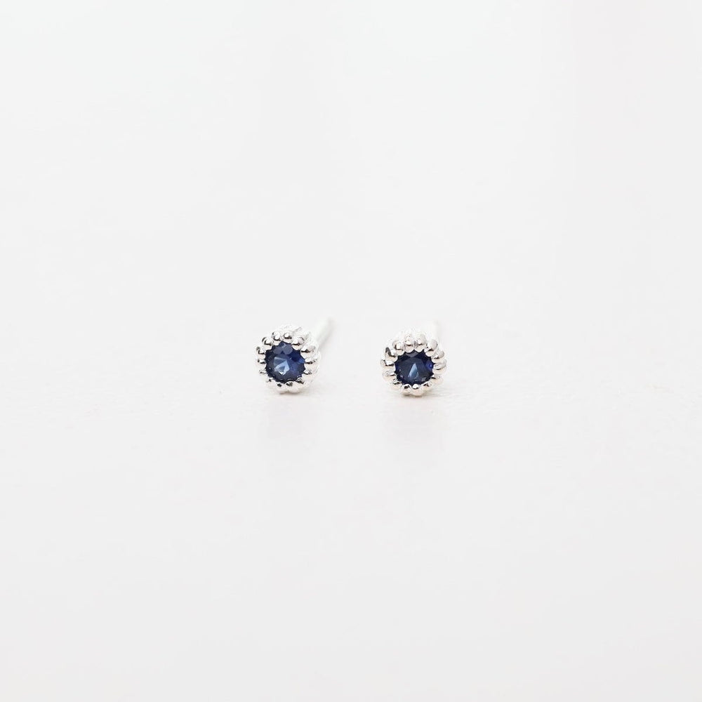 
                      
                        EAR Sterling Silver Milgrain Edge in Blue Sapphire Stud Earrings
                      
                    