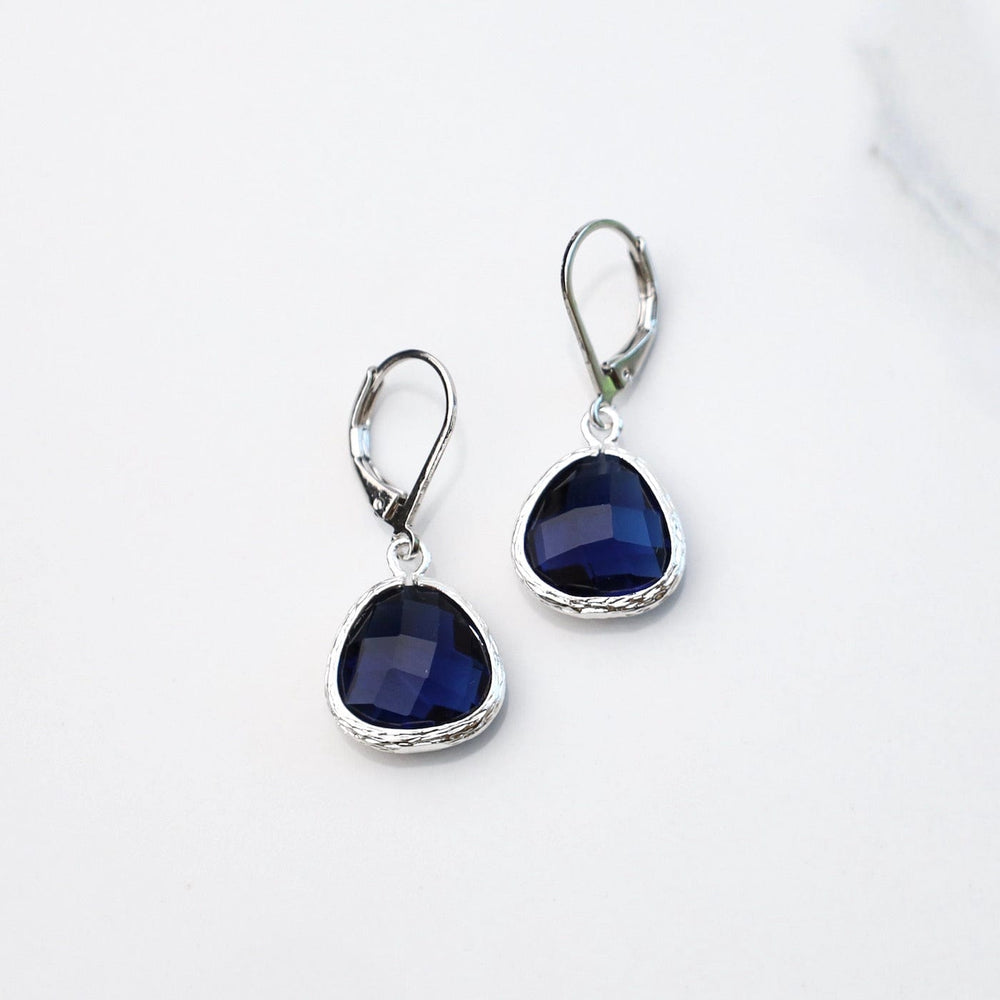 
                      
                        EAR Sterling Silver Montana Blue Crystal Lever Back Earrings
                      
                    