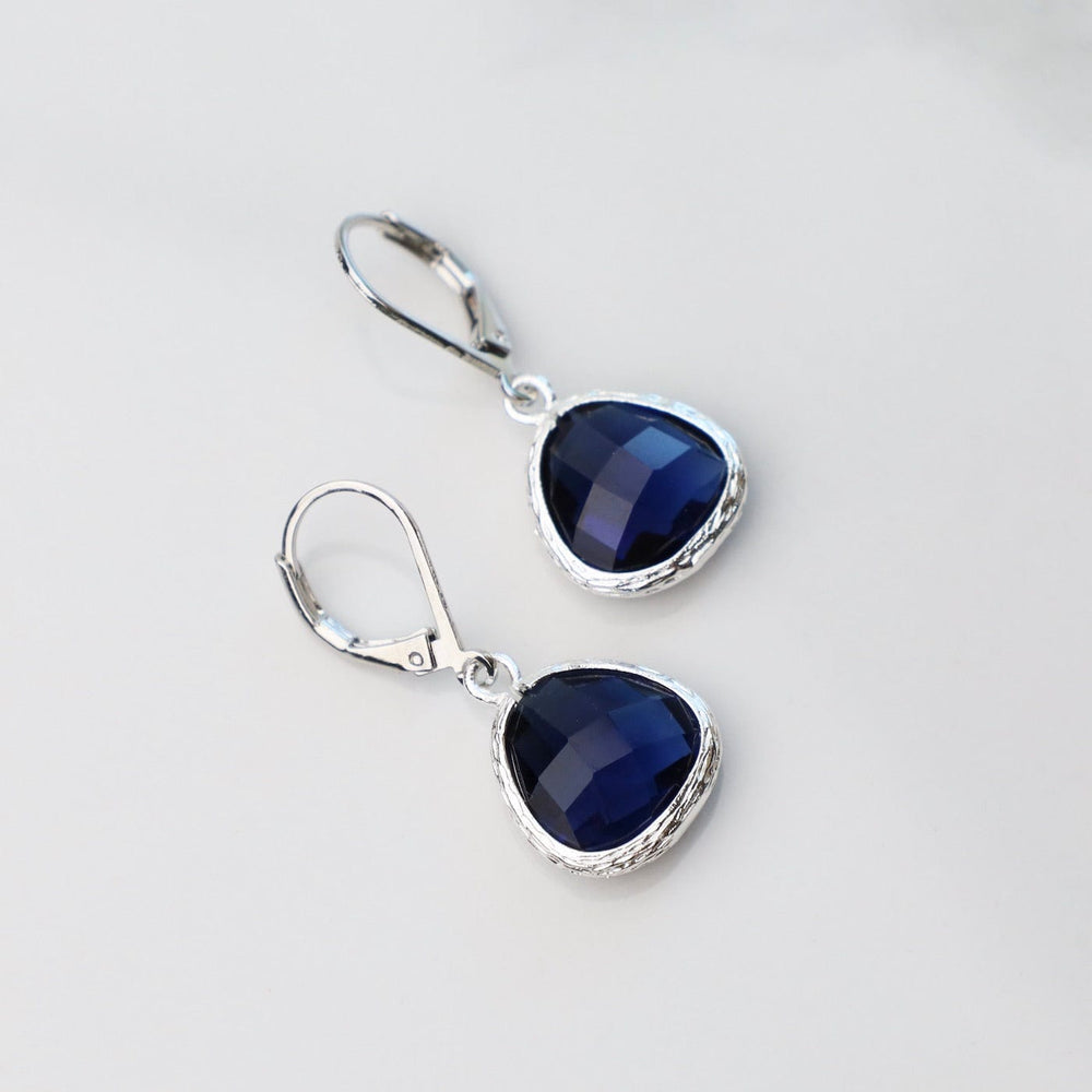 
                      
                        EAR Sterling Silver Montana Blue Crystal Lever Back Earrings
                      
                    