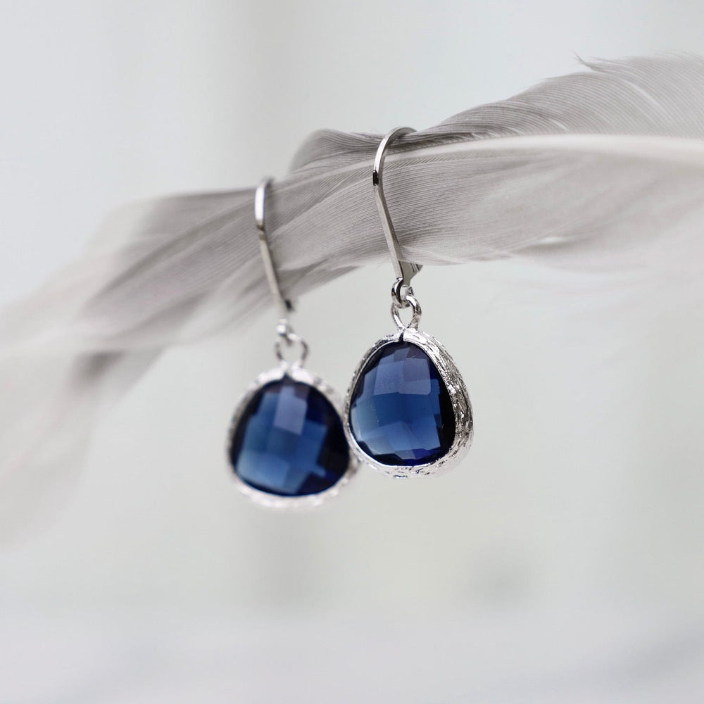 
                  
                    EAR Sterling Silver Montana Blue Crystal Lever Back Earrings
                  
                